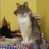 Отзыв от Лера Сычева